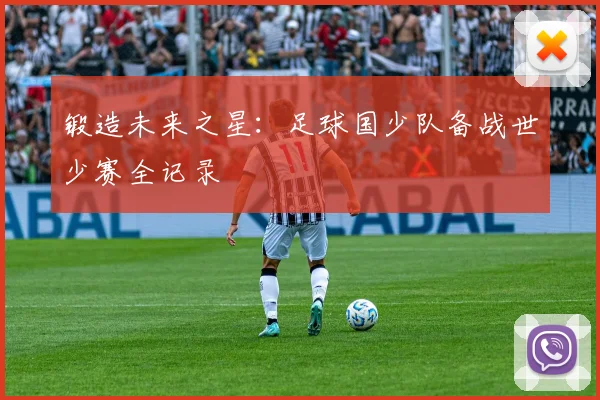 锻造未来之星：足球国少队备战世少赛全记录