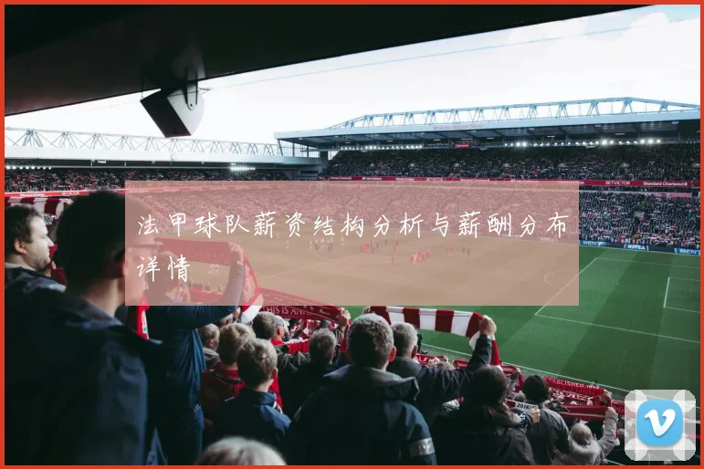 法甲球队薪资结构分析与薪酬分布详情