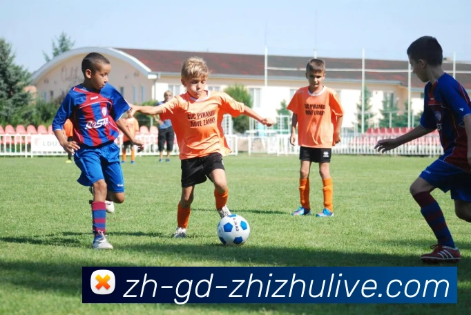 多媒体互动体验