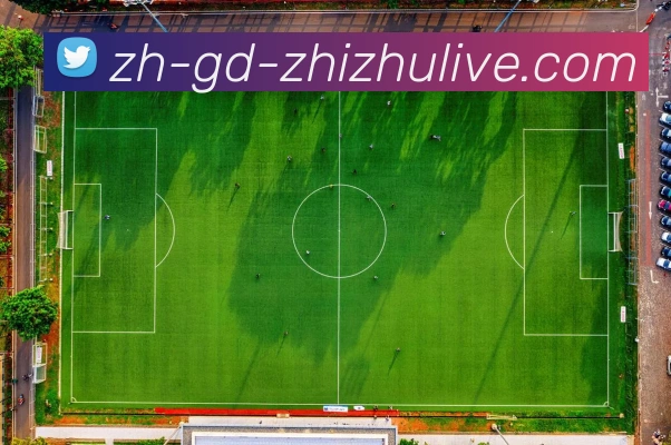 蜘蛛直播APP 高清赛事图